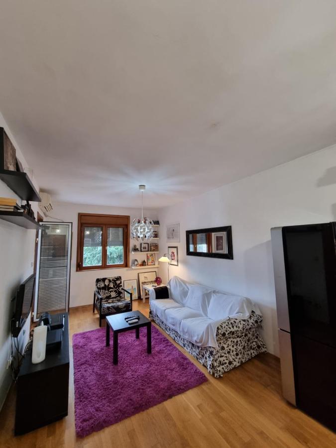 One Bedroom Centre Apartment Podgorica Luaran gambar